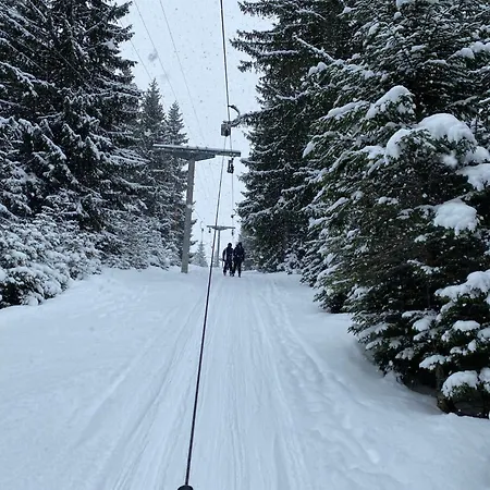 Skibeg, Daire Vlasic