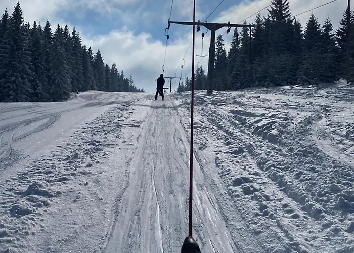 Skibeg, * ולאסיץ